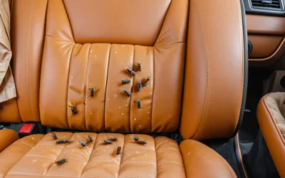 Sanitização de Veículos: mantenha seus passageiros seguros