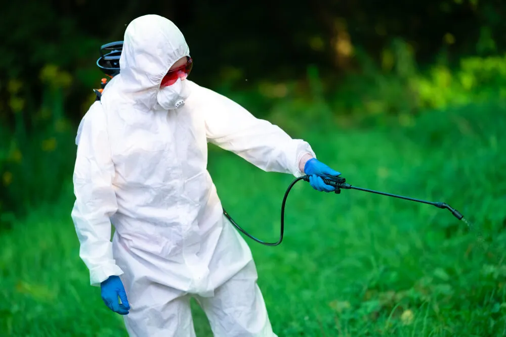 Dedetização de terrenos: conheça as principais metodologias utilizadas no controle de pragas