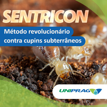 Sentricon - Método revolucionário contra cupins subterrâneos