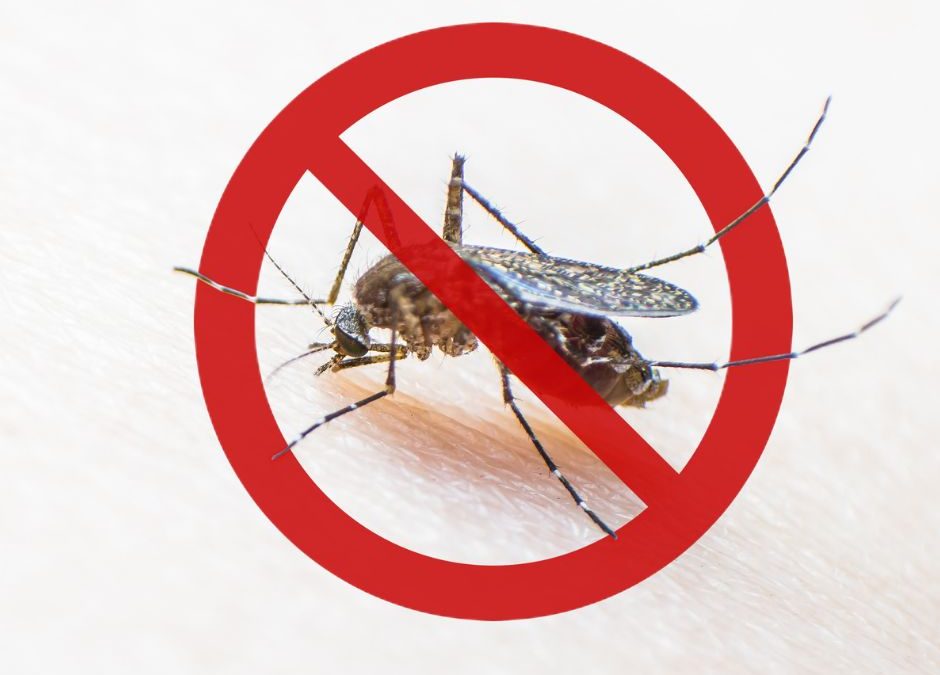 Sobre a dengue: principais aspectos da doença que você precisa saber