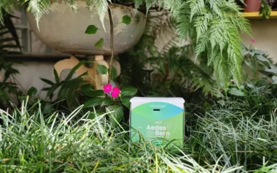 Existe controle de mosquito sem produto químico?