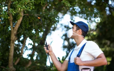 Desafios do Controle de Pragas Urbanas em Áreas Litorâneas: Clima e Ecossistema