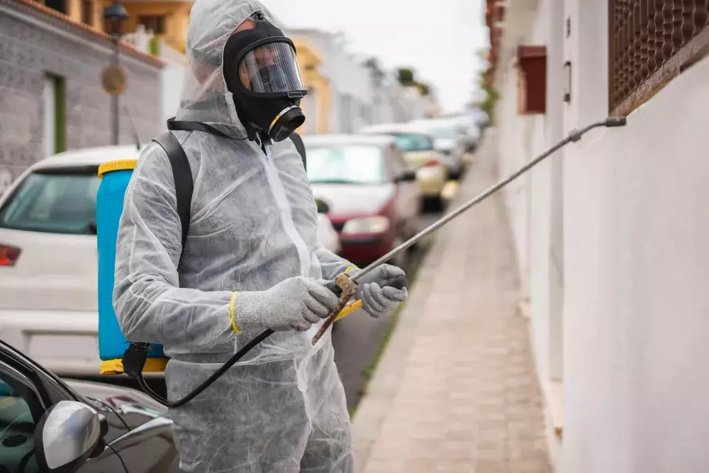 O Papel da Dedetização no Controle de Doenças em Itajaí