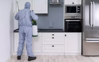 Dedetização Preventiva: Como Proteger sua Casa em Joinville de Infestações