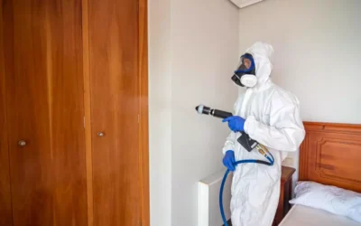 Dedetização em Condomínios: Como Proteger as Áreas Comuns de Infestações