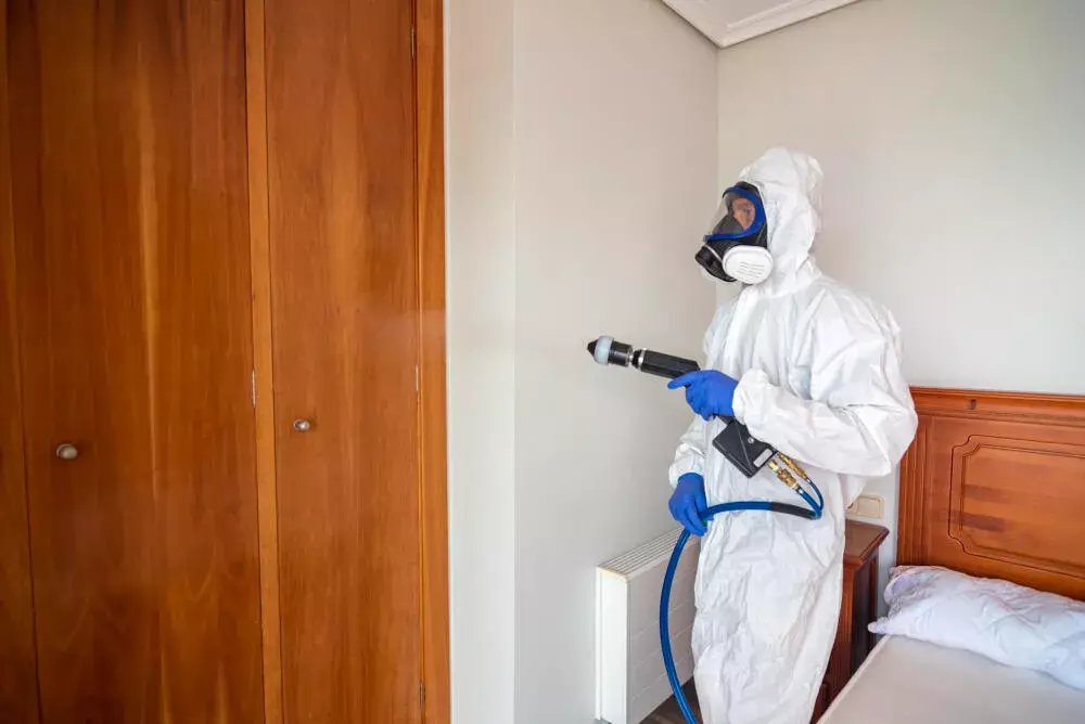 Dedetização em Condomínios: Como Proteger as Áreas Comuns de Infestações Dedetização em Condomínios: Como Proteger as Áreas Comuns de Infestações