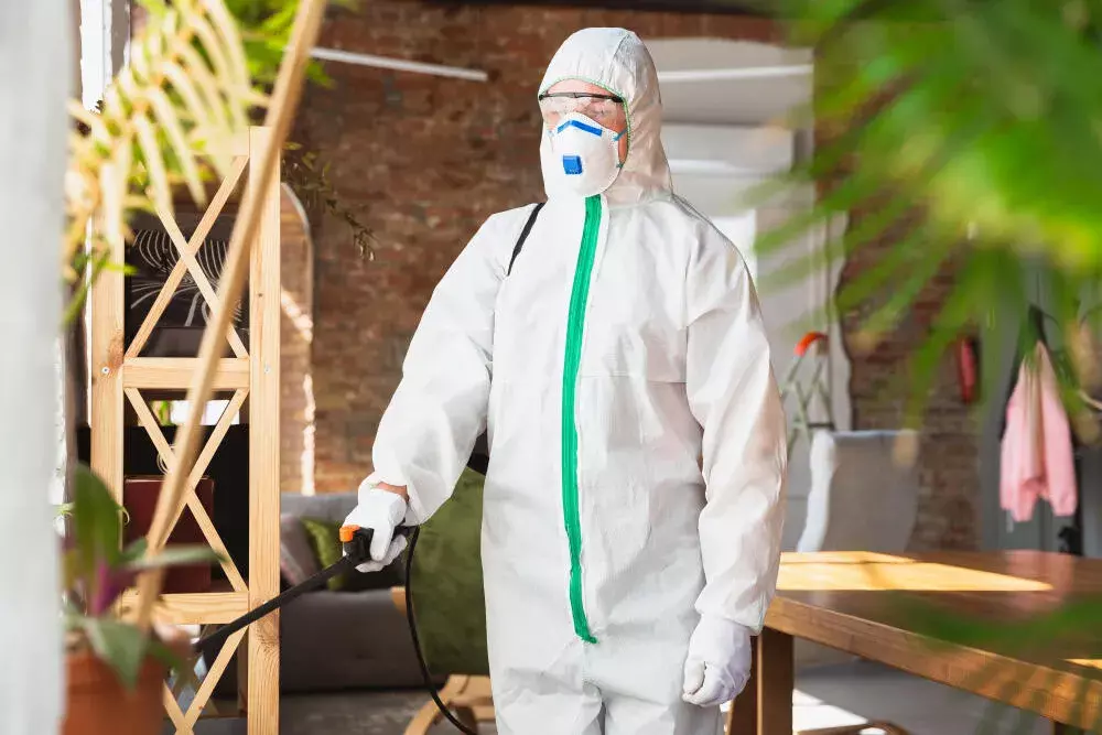 Dedetização Preventiva em Condomínios: Estratégias para Áreas Comuns Dedetização Preventiva em Condomínios: Estratégias para Áreas Comuns